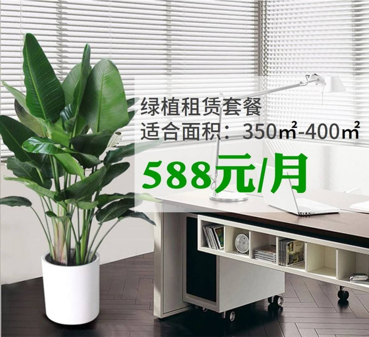 布局策划.jpg